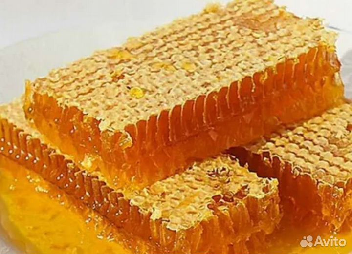 Мед в сотах