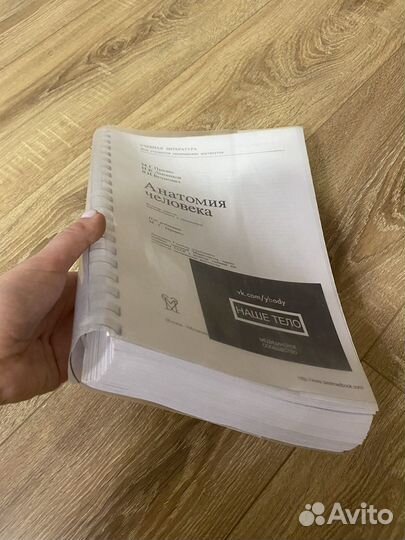 Учебник по анатомии Привес