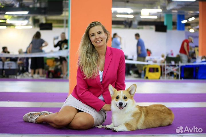 Услуги хендлера