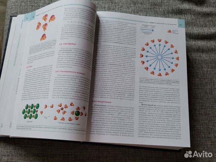 Фундаментальная и клиническая физиология