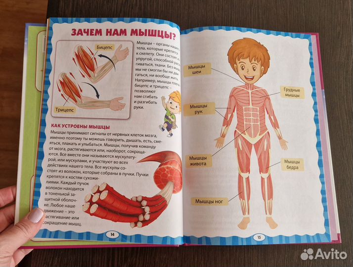 Как устроен человек. Энциклопедия для малышей