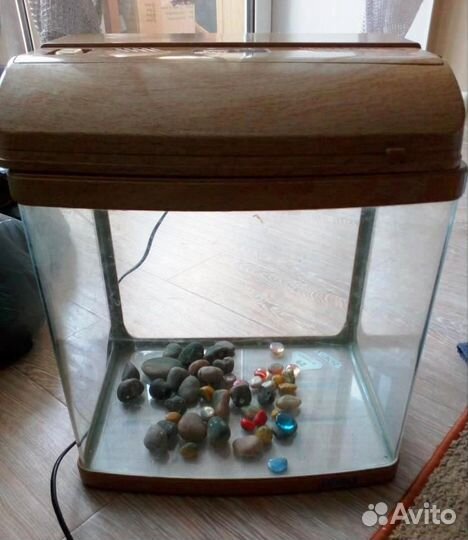 Аквариум