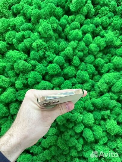 iPhone 12 Pro Max 512GB Gold Trade in Рассрочка