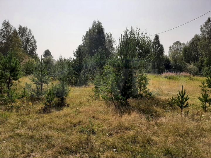 Участок 11,5 сот. (СНТ, ДНП)