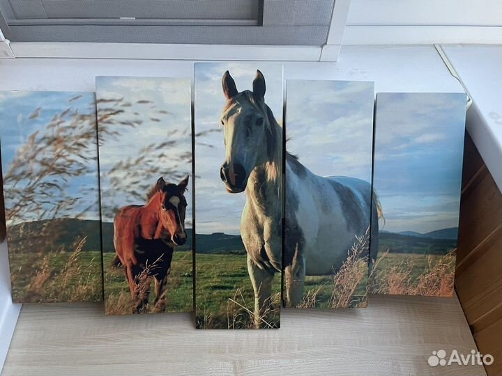 Модульная картина Лошади