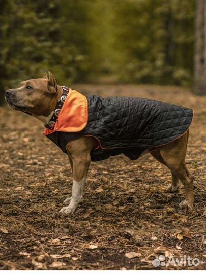 Новая Попона для собак, куртка комбинезон, 60