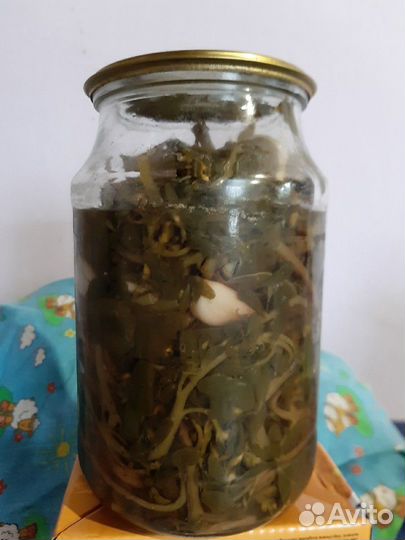 Дандур (Портулак) с доставкой