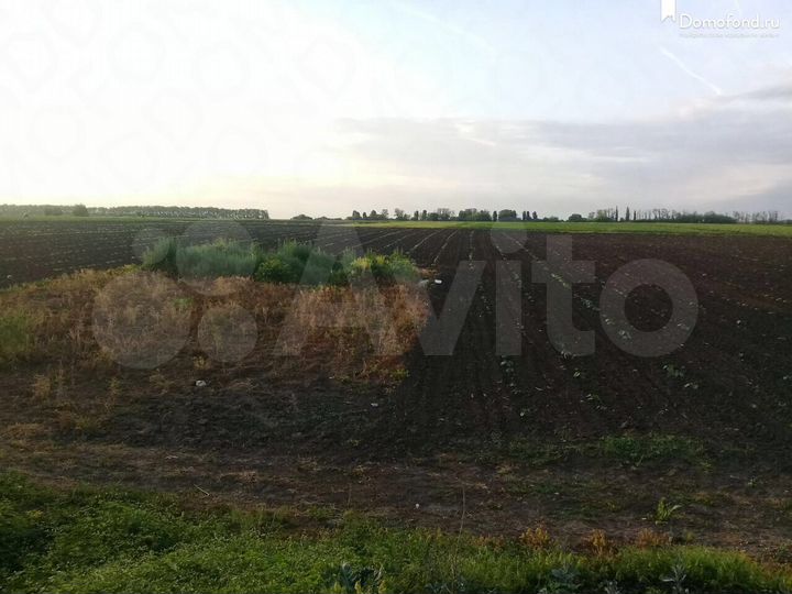 Участок 23 сот. (СНТ, ДНП)