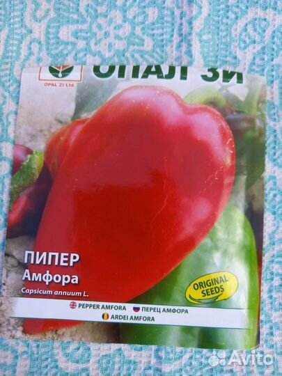 Рассада помидоров, баклажанов и сладкого перца