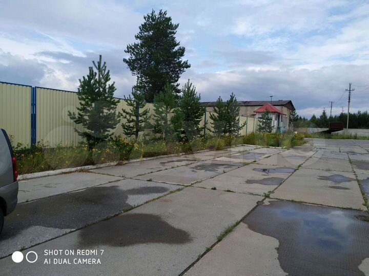 Сдам в аренду