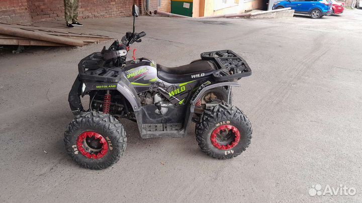Квадроцикл Motoland wild 125 A