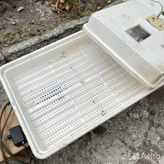 Инкубатор для яиц