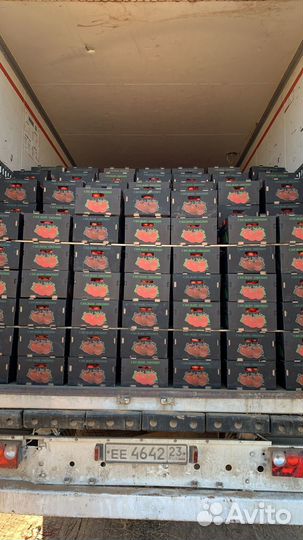 Помидоры сливка оптом