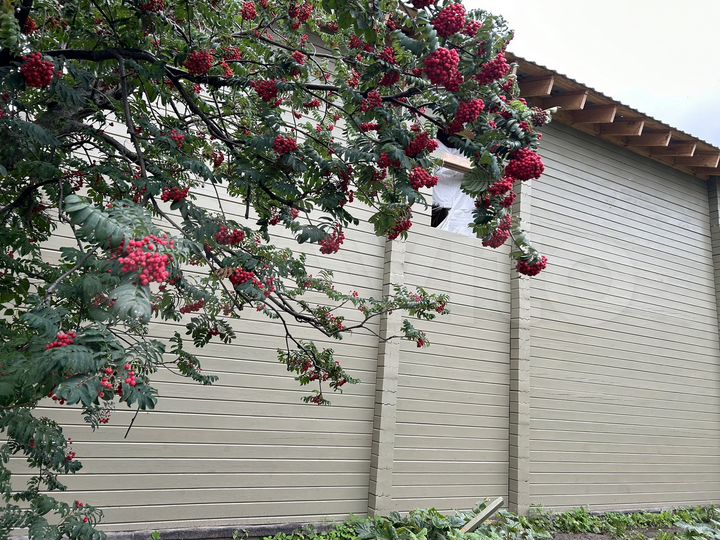 Дом 100 м² на участке 4,1 сот.