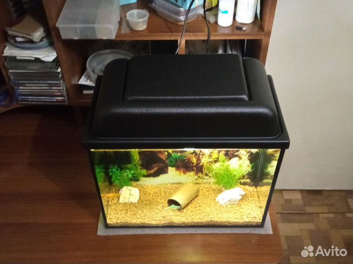 Отличный, готовый аквариум
