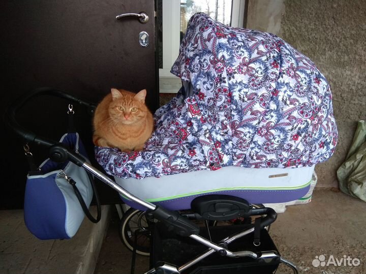 Коляска 2 в 1 Navington Caravel