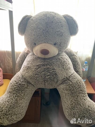 Плюшевый медведь 200 см