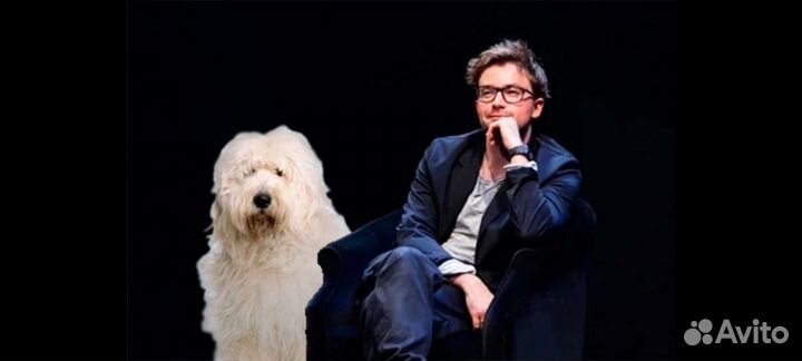 Крутые парни