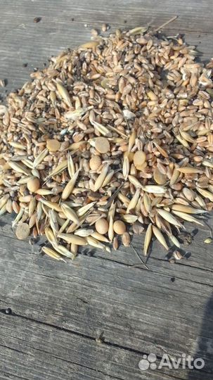 Зерновые отходы