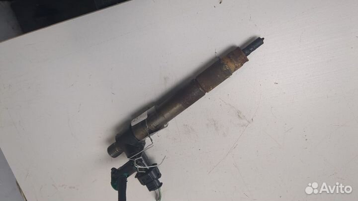 Форсунка топливная Land Rover Freelander 2, 2008