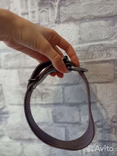 Ошейники для собак