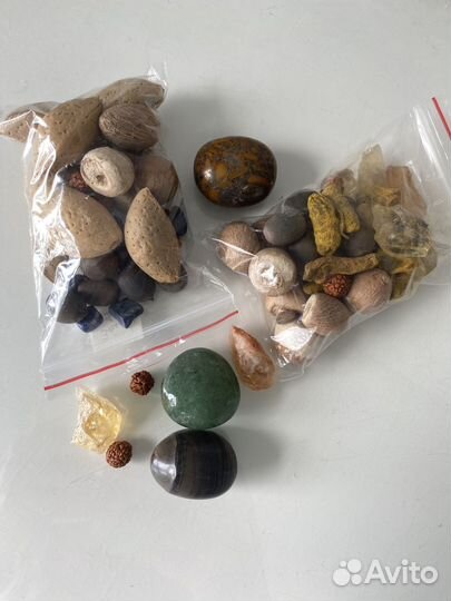 Чид-Васту любой зоны