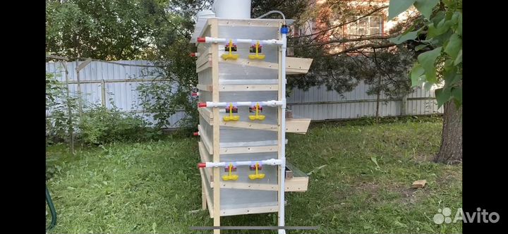 Клетки для перепелов