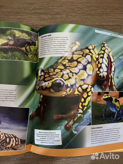 Книги энциклопедии