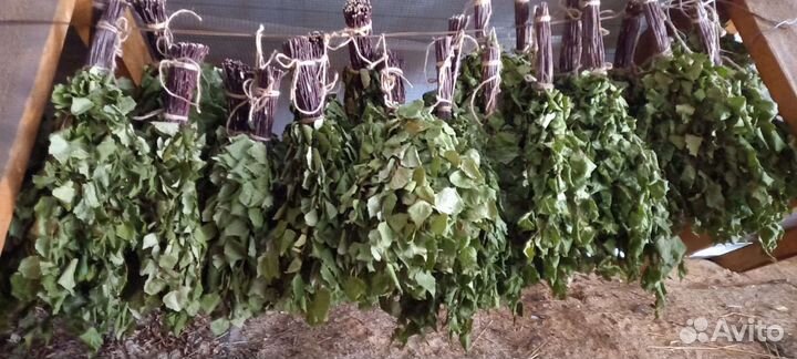 Веники для бани