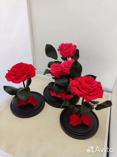 Роза в колбе