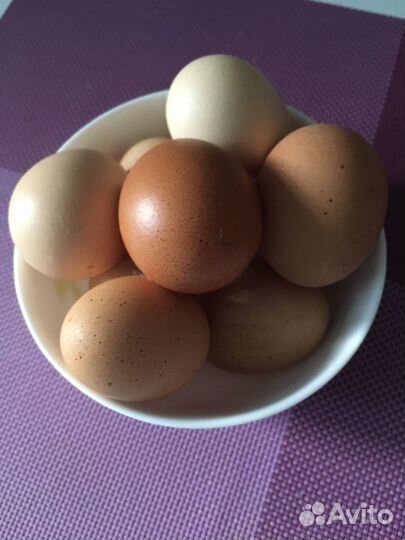 Домашние куриные яйца