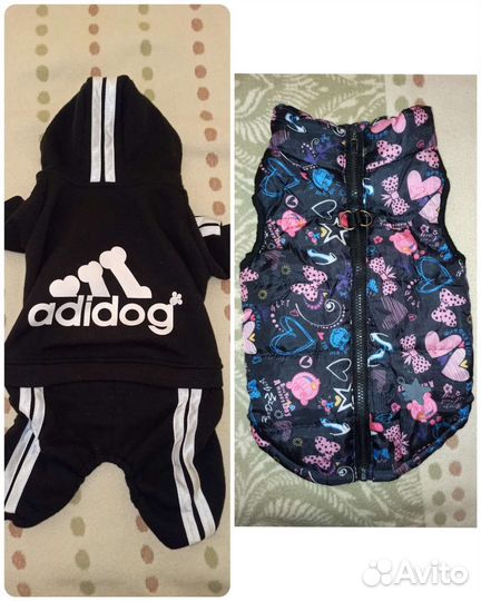 Вещи для собак