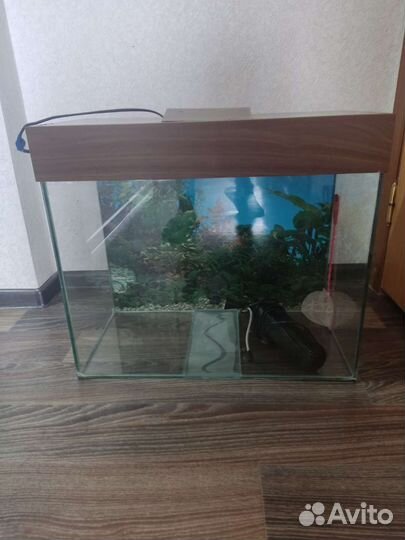 Аквариум