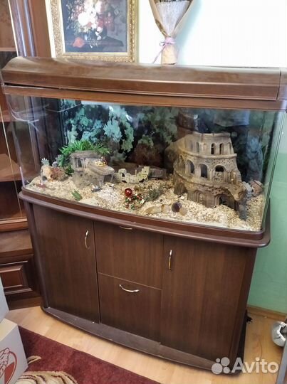 Аквариум с фильтром, светом и декором