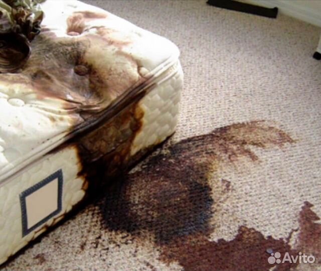 Дезинфекция квартиры после смерти в г. Москва и мо