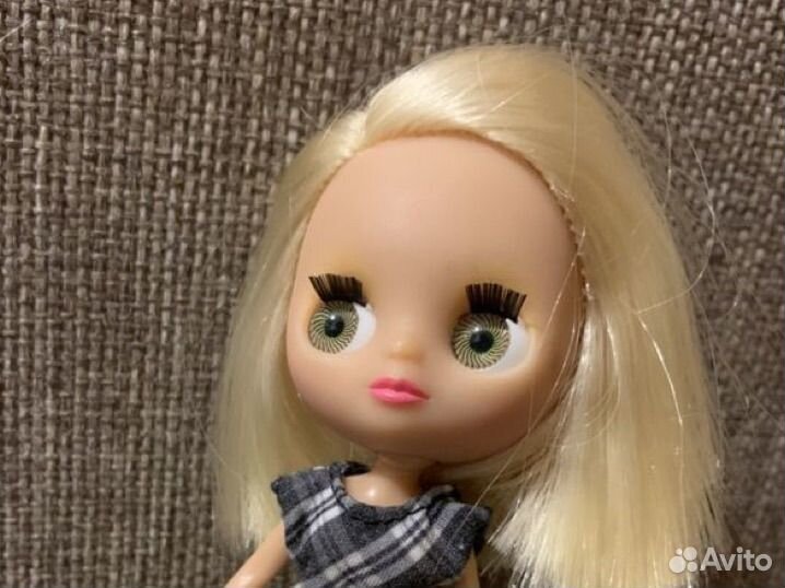 Blythe Littlest Pet Shop