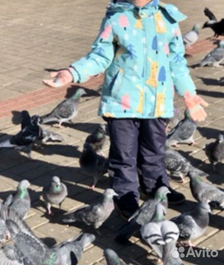 Демисезонный костюм