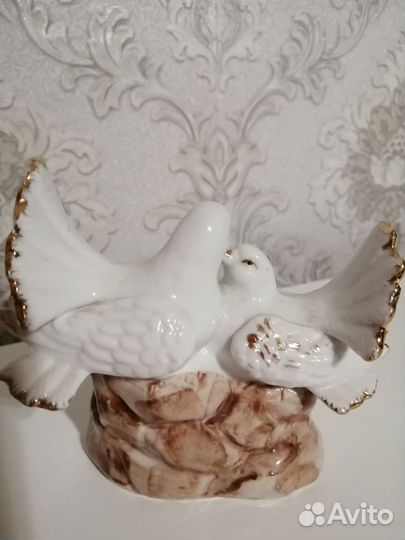 Голуби фарфоровые