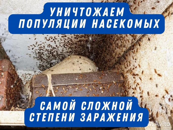 Уничтожение тараканов, травить клопов, обработка