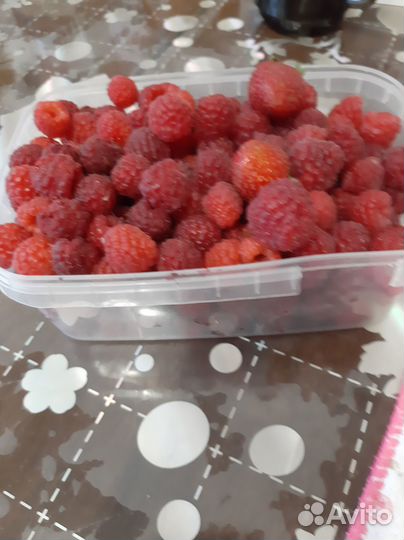 Домашние заготовки