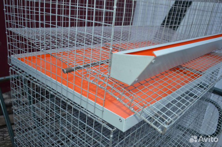 Клетки для перепелов