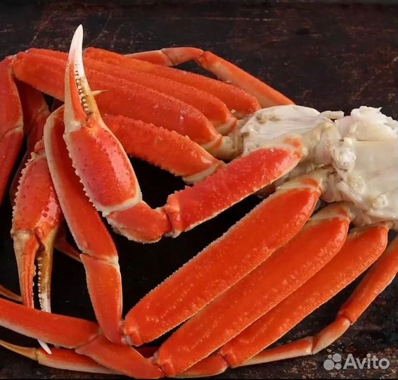 Краб Стригун клешни