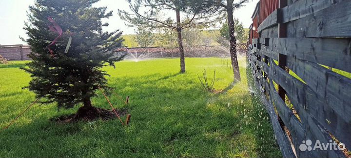 Авматический полив под ключ