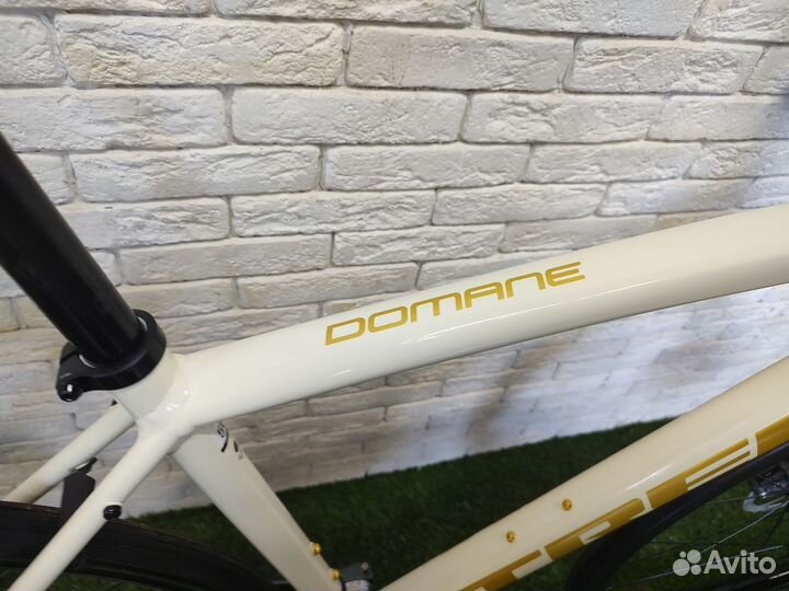 Trek Domane al 4 2022