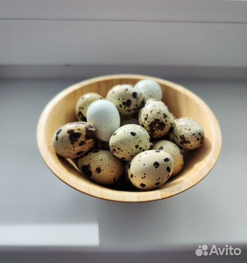 Яйца перепелиные фермерские