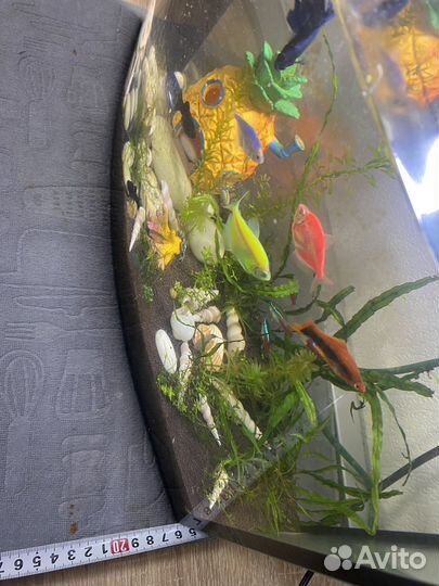 Аквариум 30 л