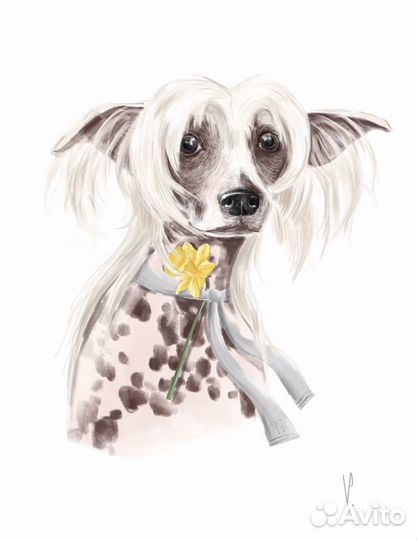 Портрет Вашего питомца