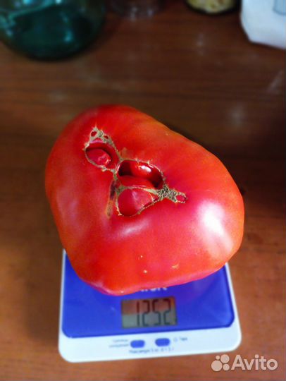 Семена коллекционных сортов томатов