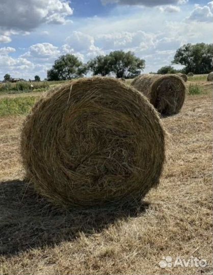 Сено в рулонах разнотравье