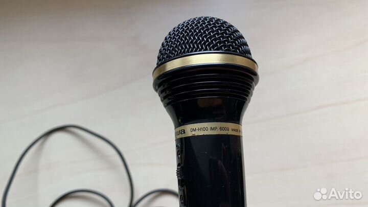 Микрофон aiwa DM-H100